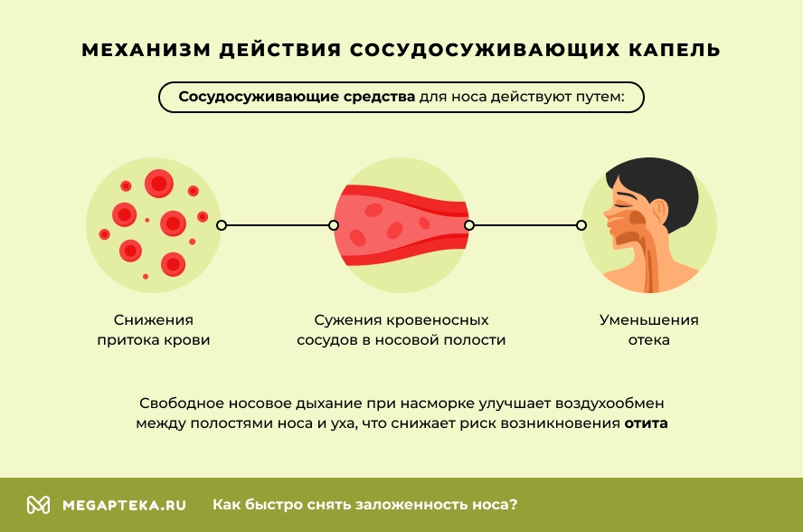 Механизм действия сосудосуживающих капель