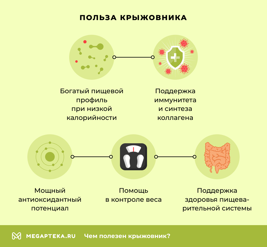 Польза крыжовника