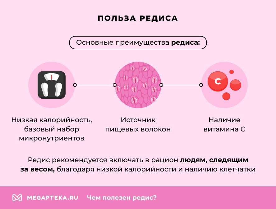 Польза редиса
