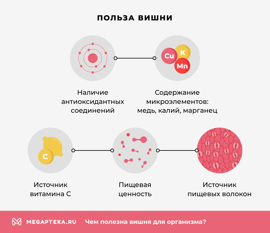 Польза вишни