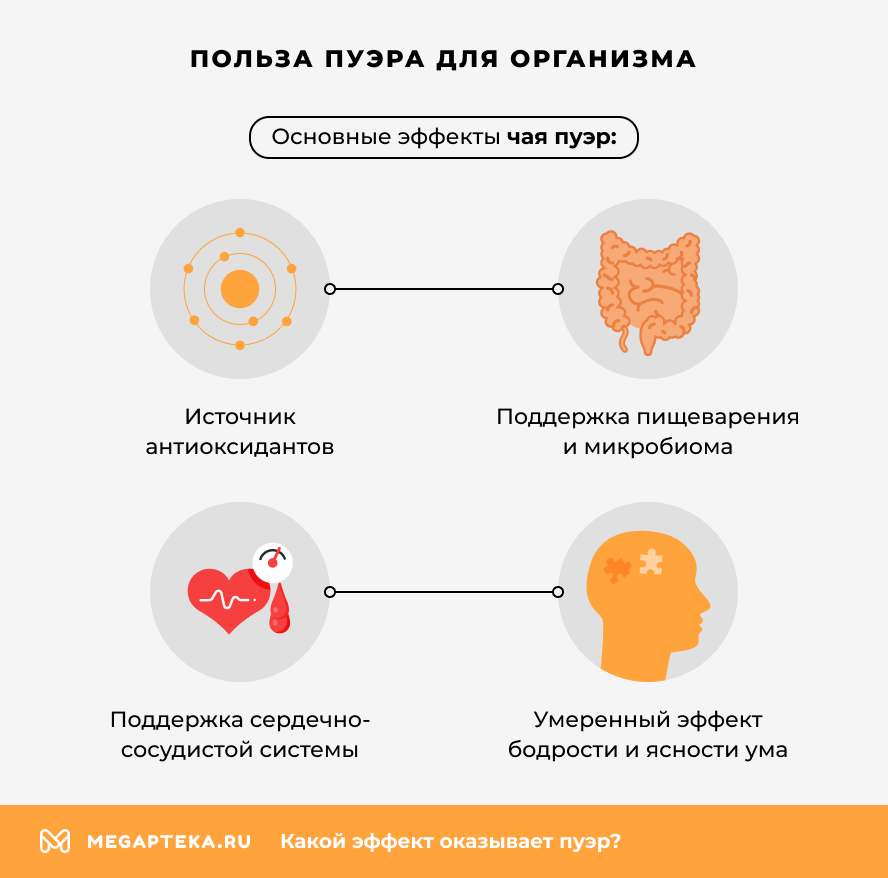 Польза пуэра для организма