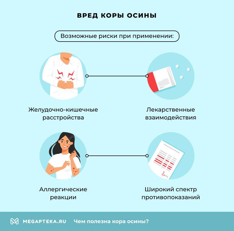 Вред коры осины