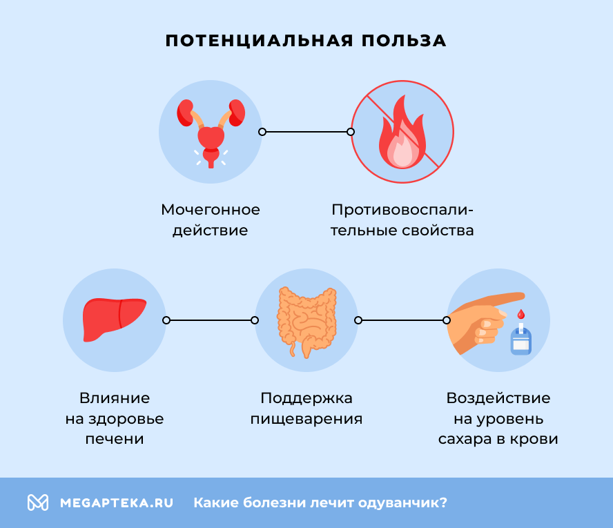 Потенциальная польза
