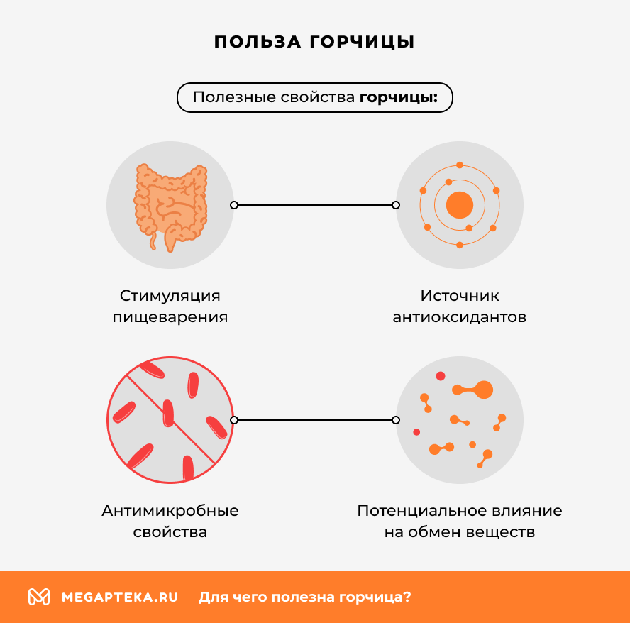 Польза горчицы