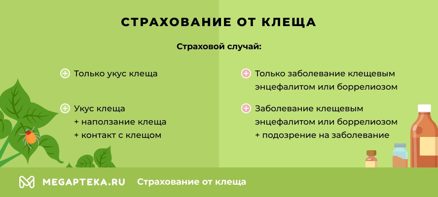Страхование от клеща