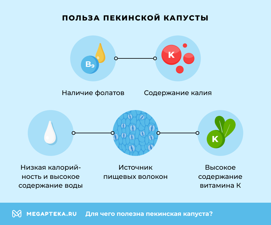 Польза пекинской капусты