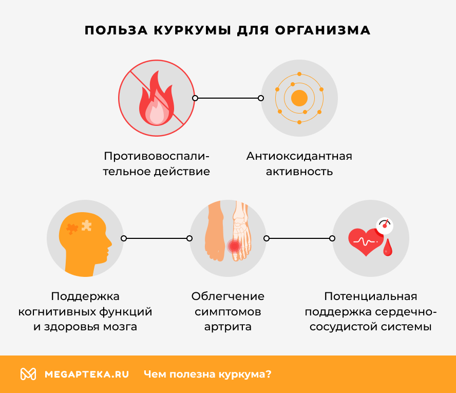 Польза куркумы для организма
