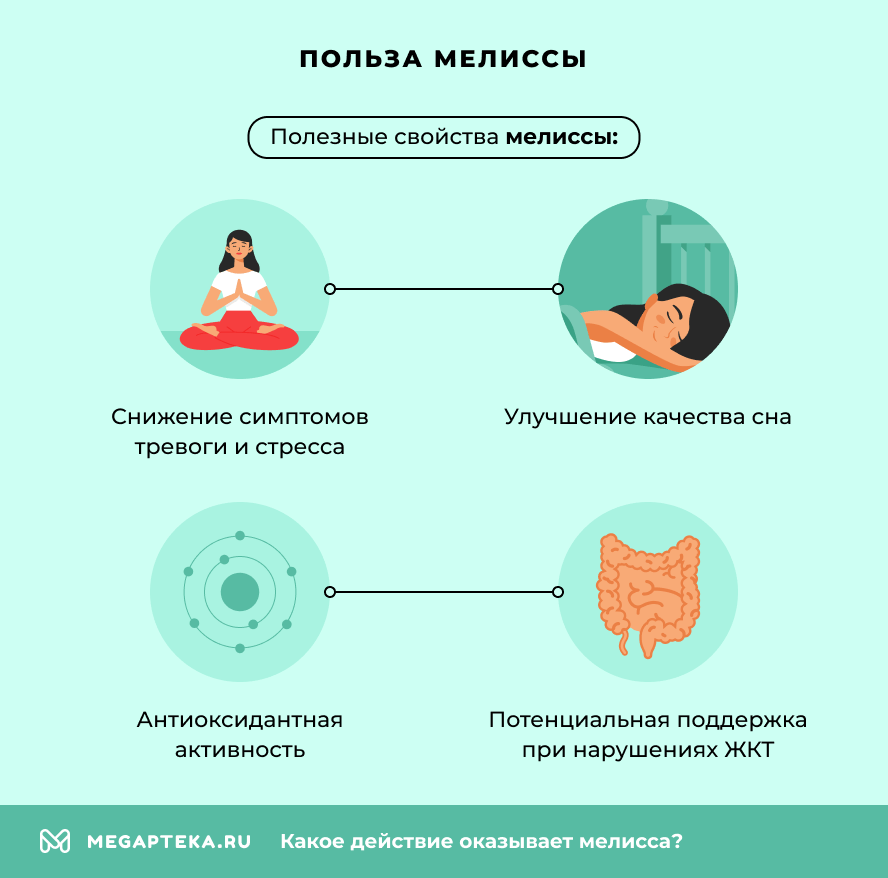 Польза мелиссы