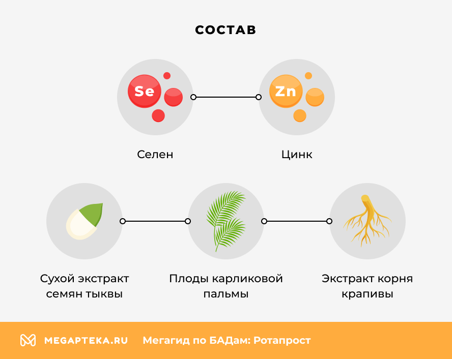 Состав