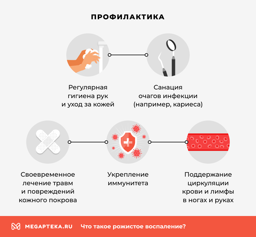 Профилактика