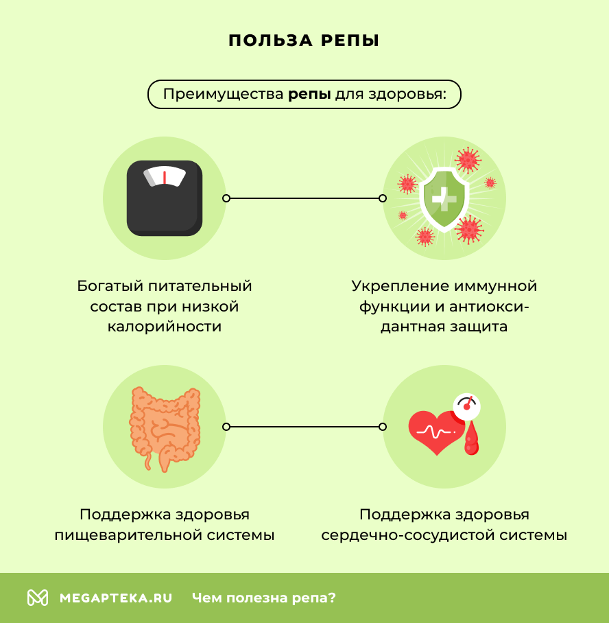 Польза репы