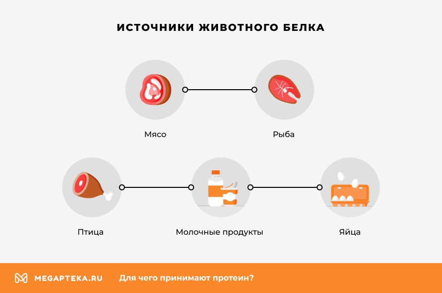 Источники животного белка