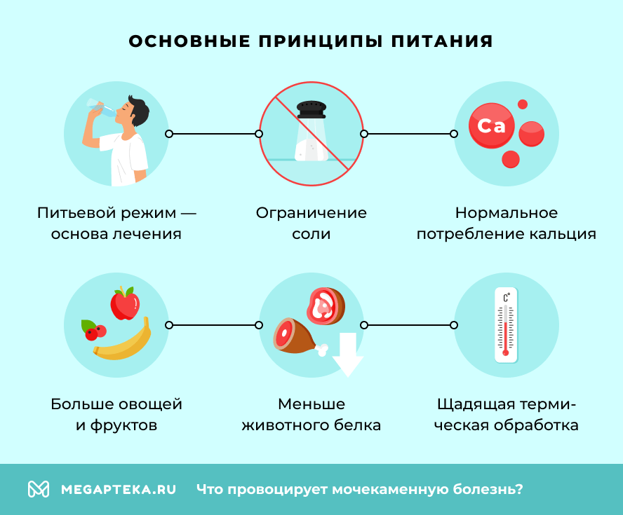 Основные принципы питания