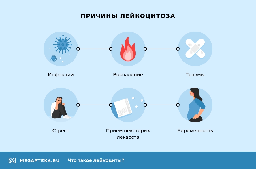 Лейкоциты в моче: норма по возрасту, причины отклонения от нормы — АнализыТУТ