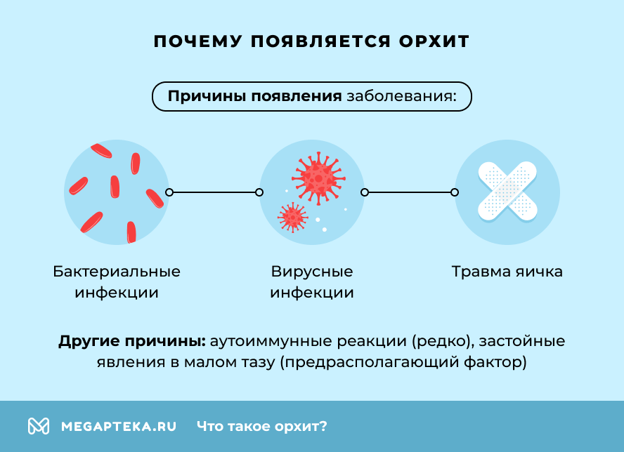Почему появляется орхит?