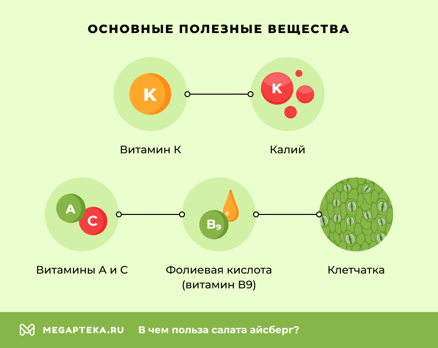 Основные полезные вещества