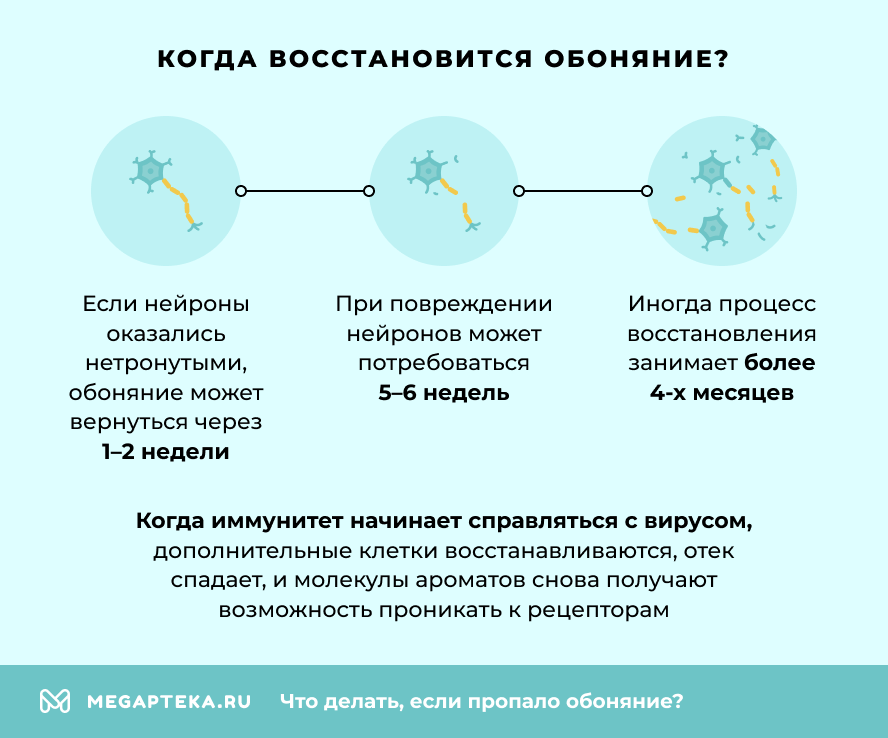 Когда восстановится обоняние?