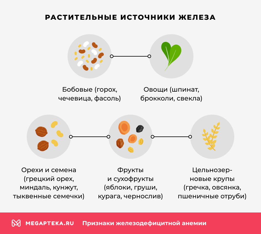 Растительные источники железа