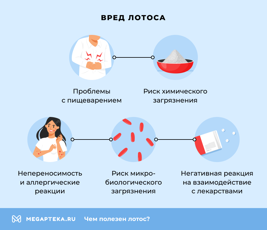 Вред лотоса