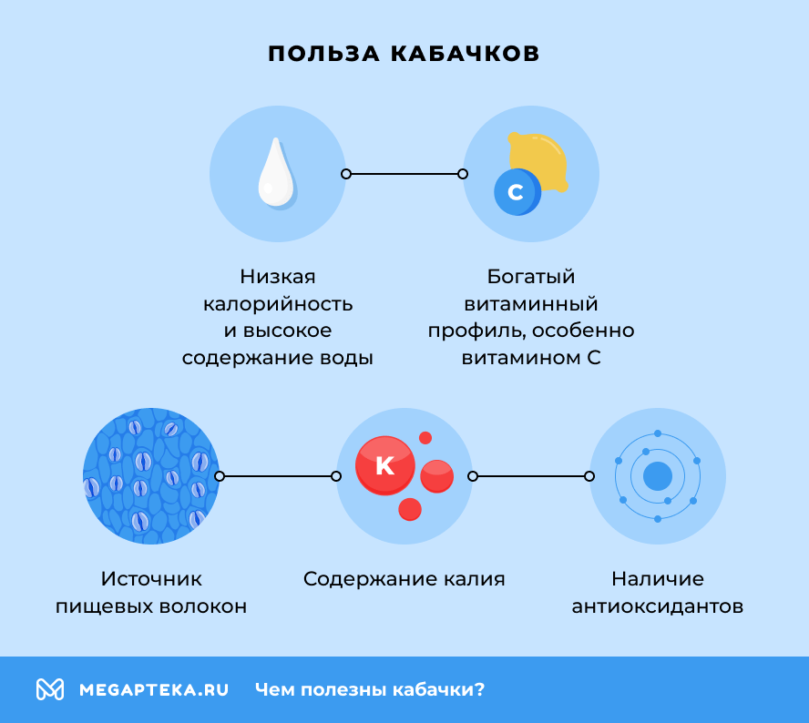 Польза кабачков