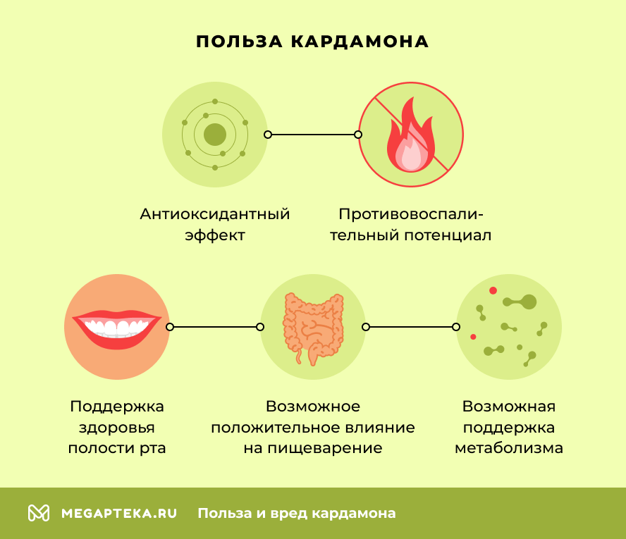 Польза кардамона