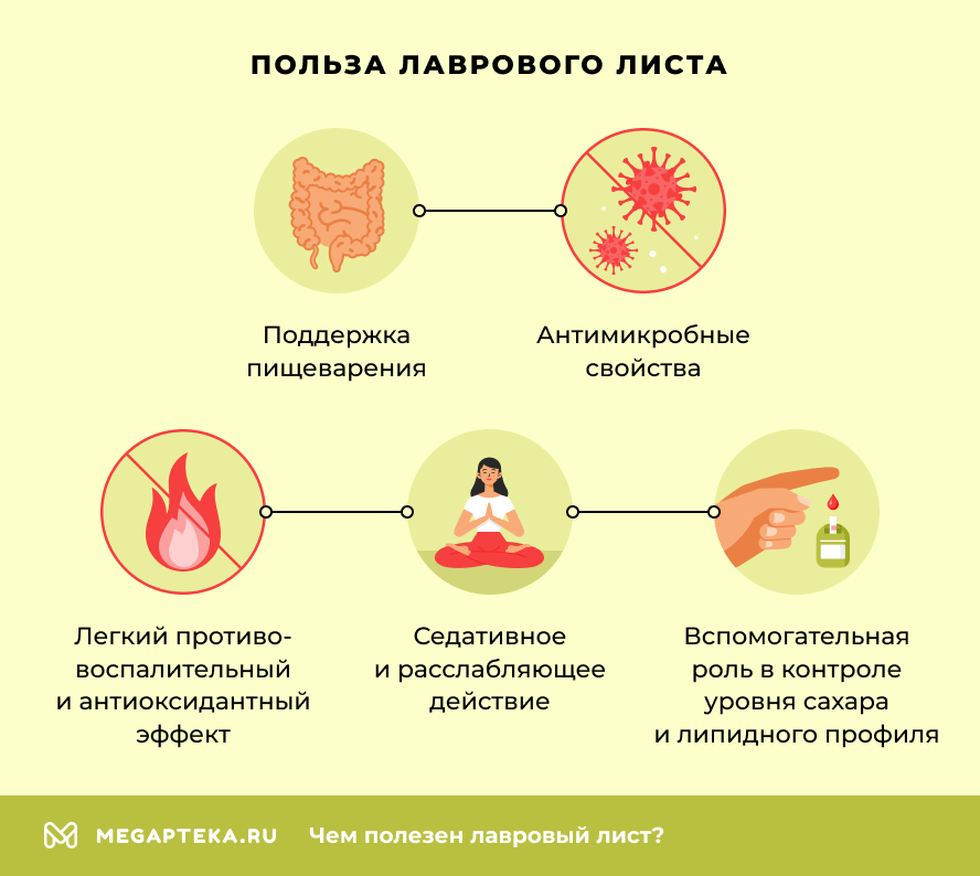 Польза лаврового листа