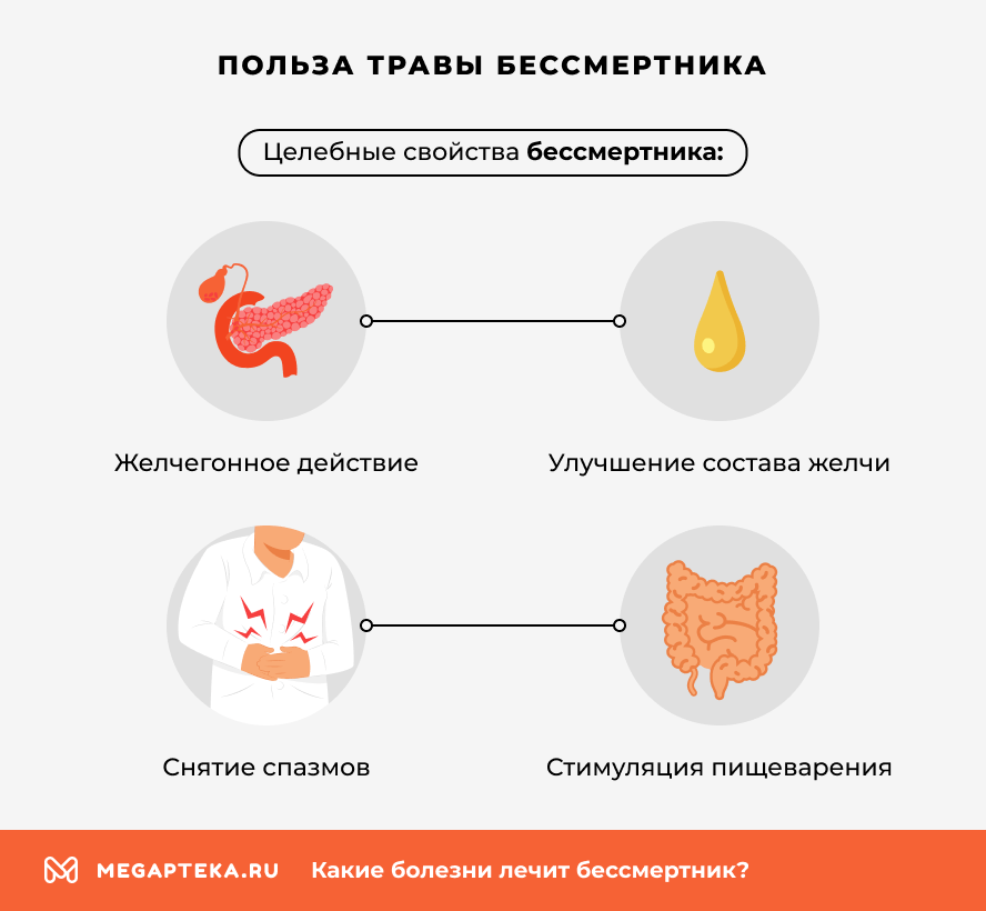 Польза бессмертника