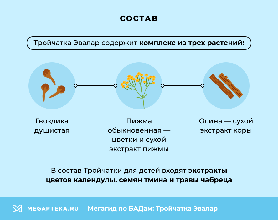 Состав