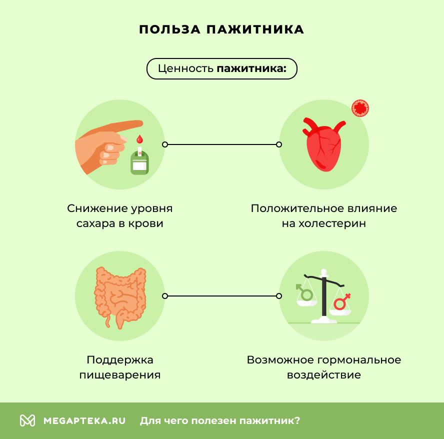 Польза пажитника