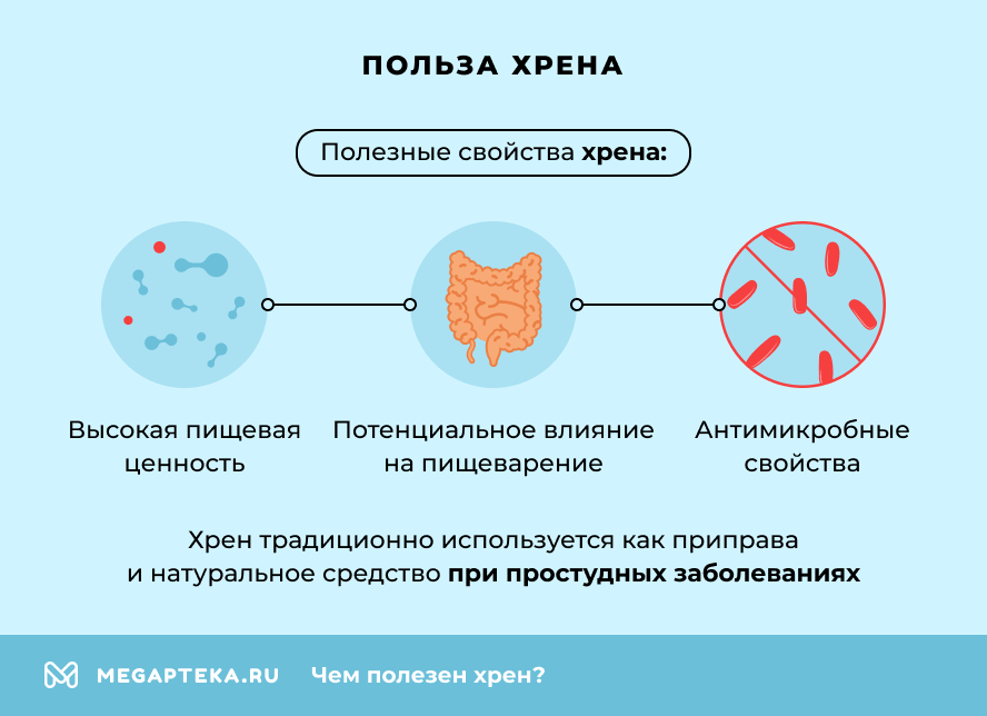 Польза хрена
