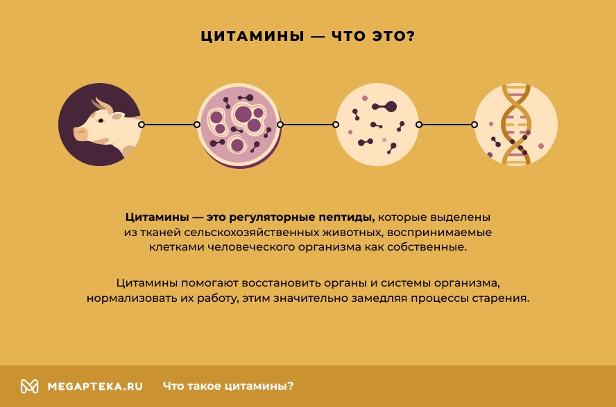 Что такое цитамины?