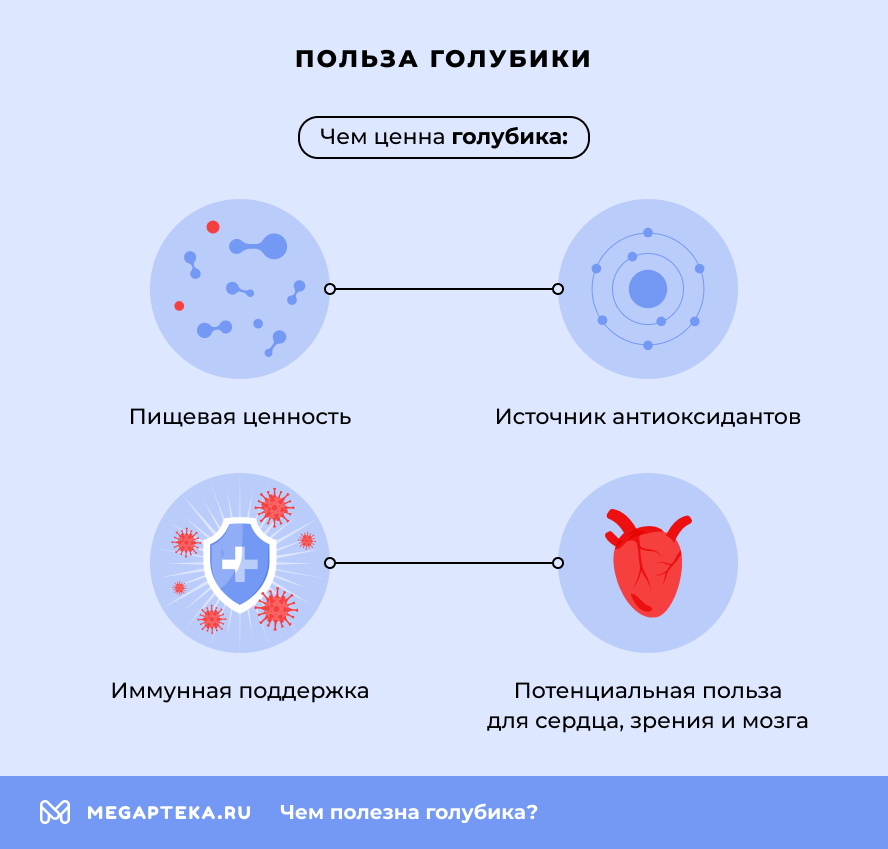 Польза голубики