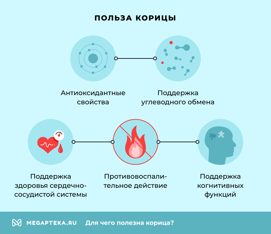 Польза корицы