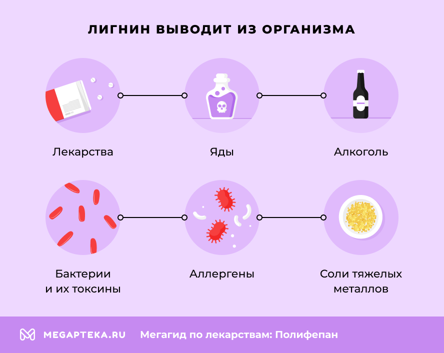 Лигнин выводит из организма: