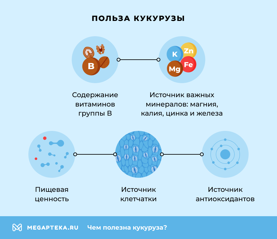 Польза кукурузы
