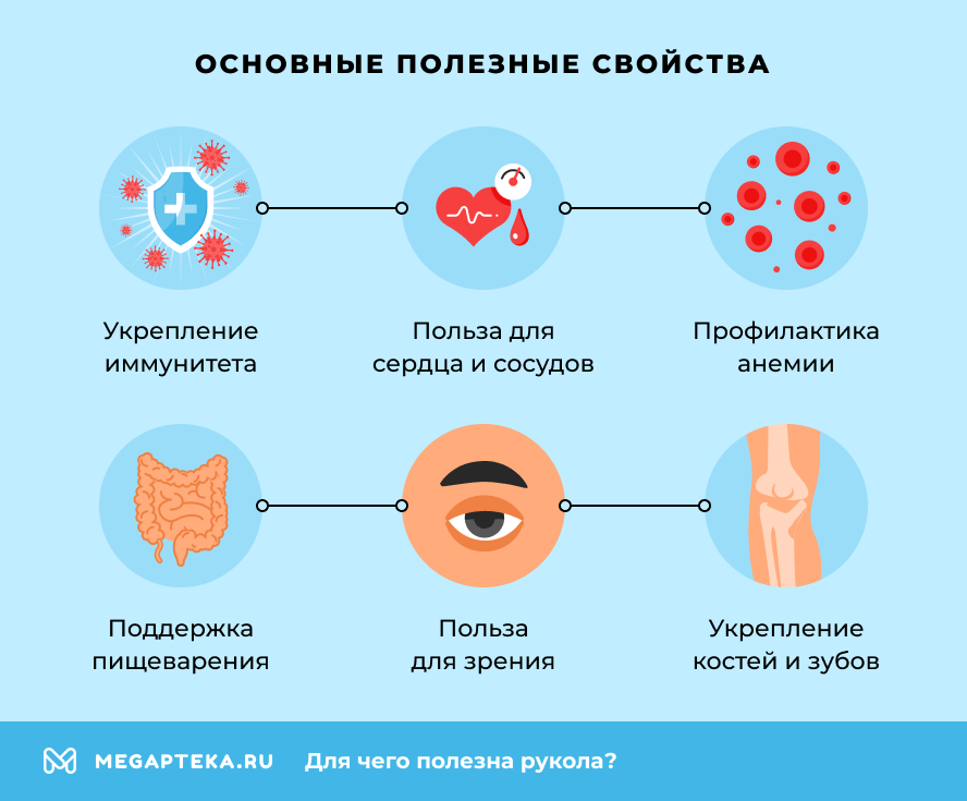 Основные полезные свойства