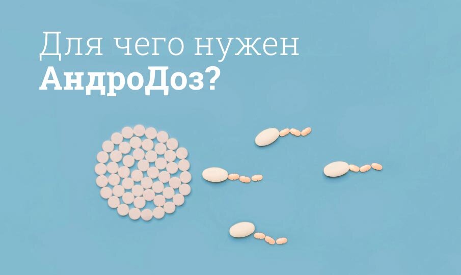 Как увеличить количество сперматозоидов и повысить фертильность