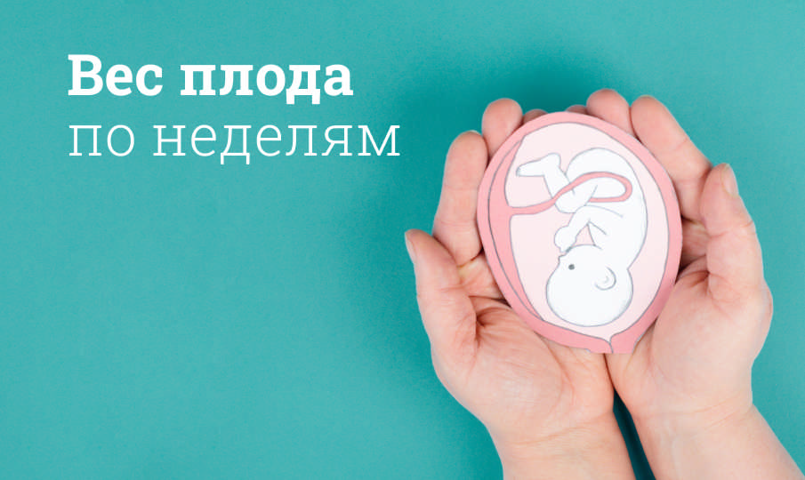 Вес плода по неделям