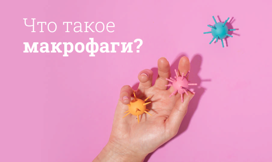 Что такое макрофаги?