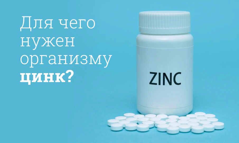 Для чего нужен организму цинк?