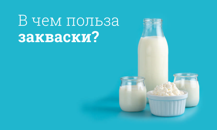 Какие закваски лучше?
