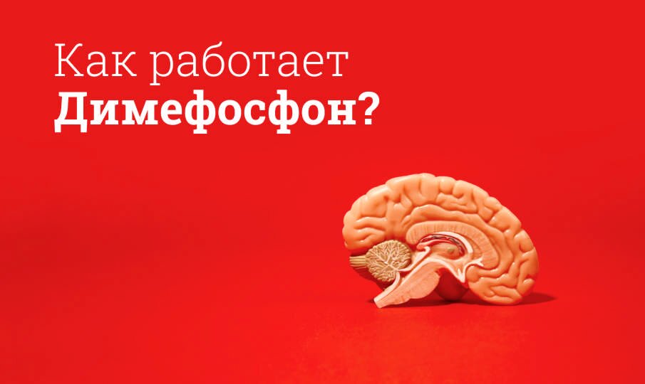 Как работает Димефосфон?