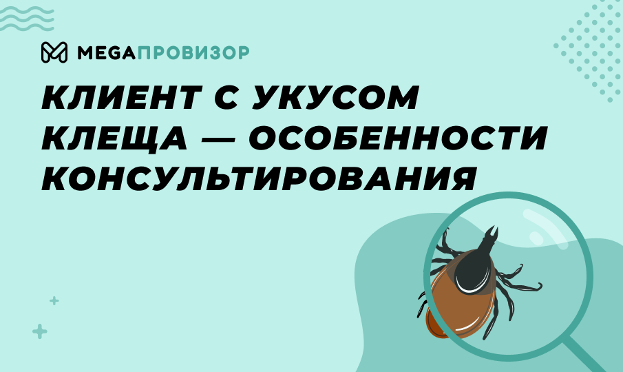 Клиент с укусом клеща — особенности консультирования