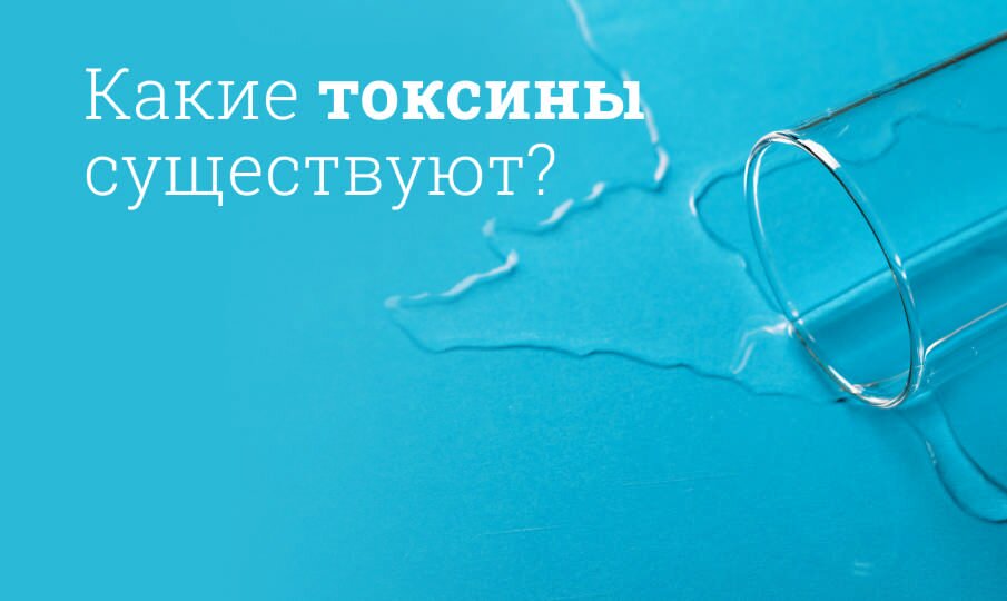 Выведение токсинов и шлаков