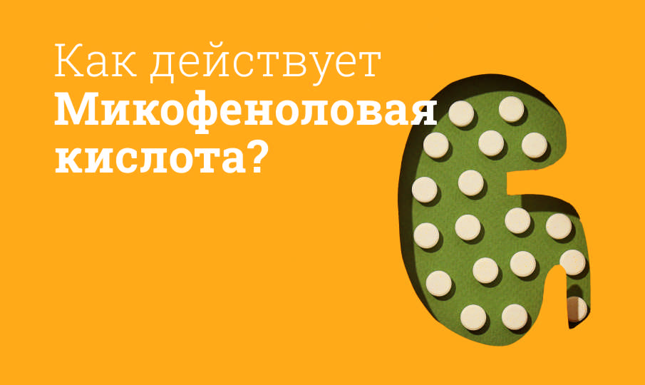 Микофеноловая кислота: инструкция по применению