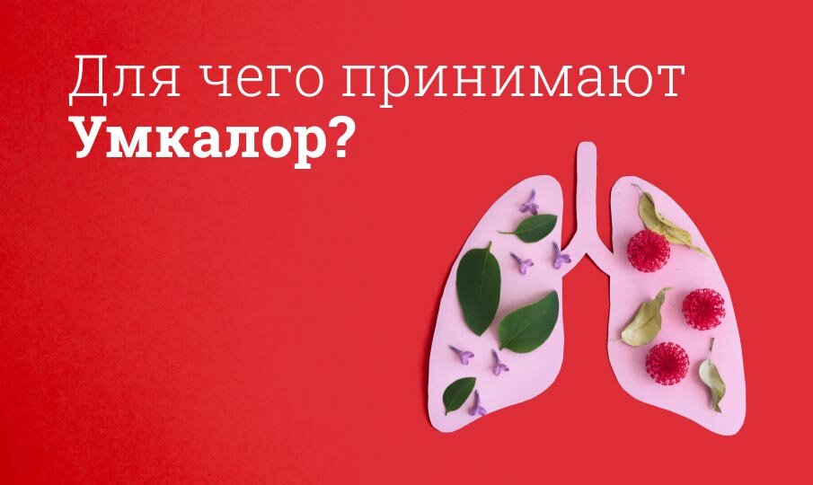 Умкалор: инструкция по применению