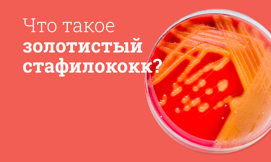 Лечение золотистого стафилококка