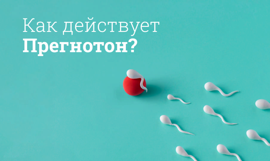 Прегнотон инструкция по применению