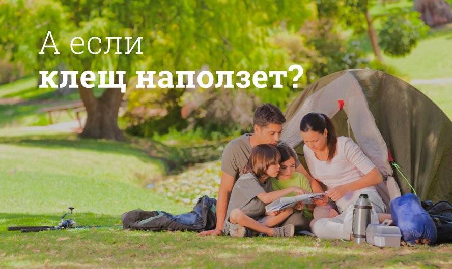 Страхование от клещевого энцефалита, нужно ли оформлять