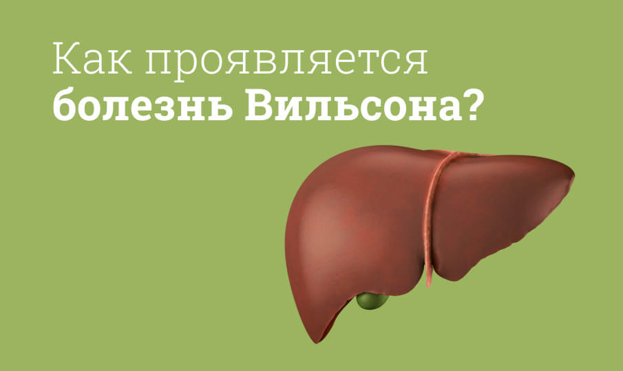 Болезнь Вильсона